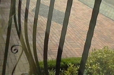 Bild "webcam01.jpg"
